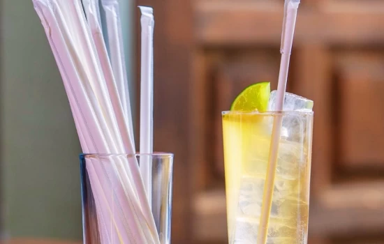 Paper Straws with Paper Wrap